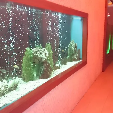 Azura Park Διαμέρισμα Mahmutlar